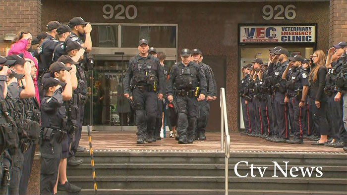 Toreonto 24/7 veterinary hospital