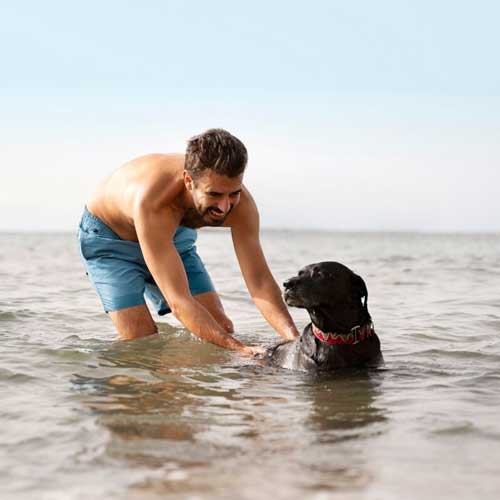 Toreonto 24/7 veterinary hospital